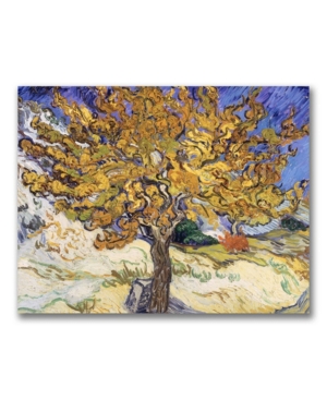Trademark Global Vincent Van Gogh 'mulberry Tree, 1889' Canvas Art In Multi
