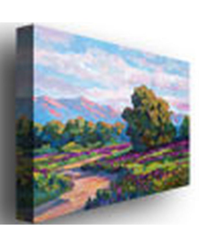 Trademark Global David Lloyd Glover 'California Hills' Canvas Art - 24 ...
