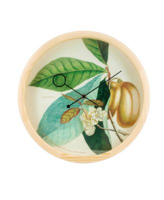 Cloudnola - BOTANICAL ANONA PLAN
