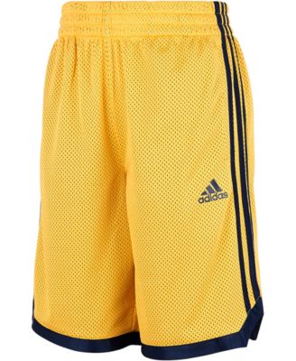 adidas boys mesh shorts