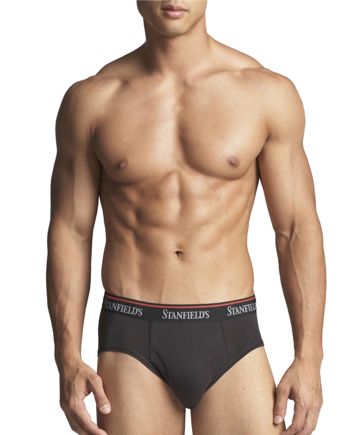 Cotton Stretch Men's 3 Pack Brief Underwear - Graphite