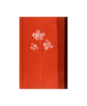 Trademark Global Pablo Esteban Red Under Tiny White Flowers Canvas Art In Multi