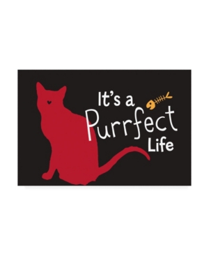 Trademark Global Holli Conger Pet Life Cat 3 Canvas Art In Multi