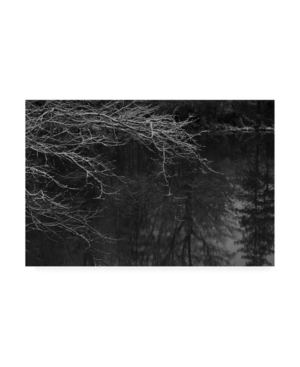 Trademark Global Kurt Shaffer Photographs Wintertime Reflections Canvas Art In Multi