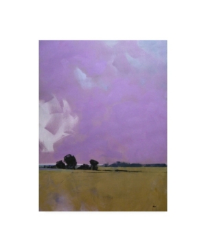 Trademark Global Paul Baile Over The Fields To The Distant Sea Canvas Art In Multi