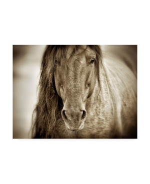 Trademark Global Lisa Dearin Mustang Sally Horse Canvas Art In Multi
