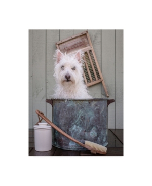 Trademark Global Edward M. Fieldin Washing The Dog Canvas Art In Multi