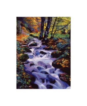 Trademark Global David Lloyd Glover Watersounds In Fall Forest Canvas Art In Multi