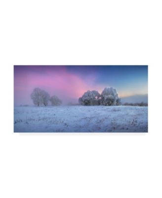 Trademark Global Sergei Shabunevich Trees Covered in Snow Canvas Art - 20" x 25"
