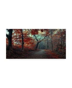 Trademark Global Leif Londal The Red Forest Canvas Art In Multi