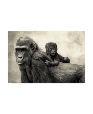 Trademark Global Antje Wenner Braun Life Gorillas Canvas Art In Multi
