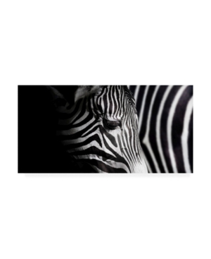 Shop Trademark Global Takashi Suzuki Overlap Of Stripes Canvas Art In Multi