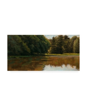 Trademark Global Michael Budden Summer Light White Pine Rd Pond Canvas Art In Multi