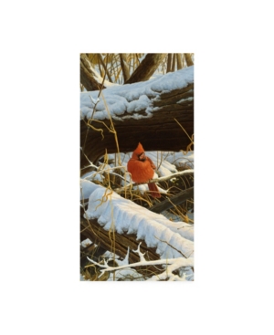 Michael Budden Winter Playground Cardinal Canvas Art - 20