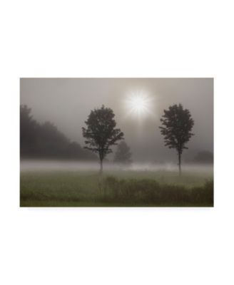 Trademark Global Monte Nagler Two Trees and Sunburst Logan Ohio Canvas Art - 20" x 25"