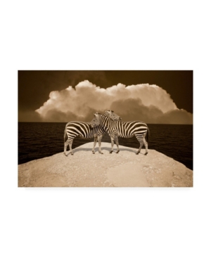 Shop Trademark Global Monte Nagler Two Zebras Port Austin Mi Canvas Art In Multi