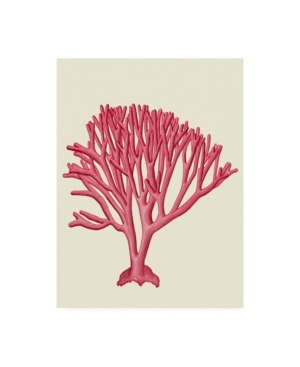 Trademark Global Fab Funky Red Corals 1 C Canvas Art In Multi