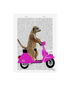 Trademark Global Fab Funky Meerkat On Pink Moped Canvas Art In Multi