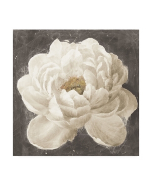 Trademark Global Danhui Nai Vivid Floral I White Flower Canvas Art In Multi