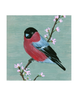 Trademark Global Melissa Wang Bird & Blossoms I Canvas Art In Multi