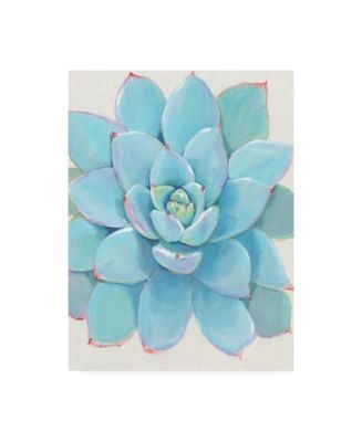 22x26 Pastel Succulent IV By Tim OToole - Light Blue main image 1