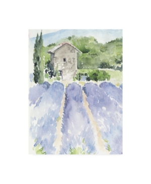 Trademark Global Jennifer Paxton Parker Lavender Fields I Canvas Art In Multi