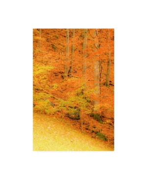 Trademark Global Dan Ballard Yellow Foliage Autumn Canvas Art In Multi