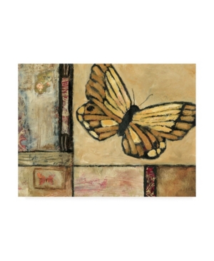 Trademark Global Judi Bagnato Butterfly In Border Ii Canvas Art In Multi