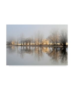 Trademark Global Bor January Morning Canvas Art In Multi