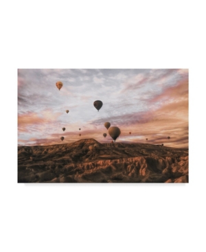 Ayse Yorgancilar Cappodocia Hot Air Balloon Canvas Art - 20