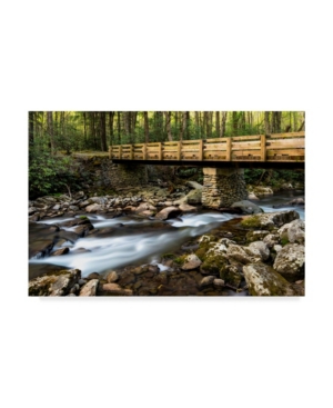 Danny Head Bridge and Cascade I Canvas Art - 20
