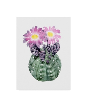 Trademark Global Grace Popp Cactus Bloom Iv Canvas Art In Multi