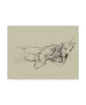 Trademark Global Ethan Harper Dog Days Iii Canvas Art In Multi