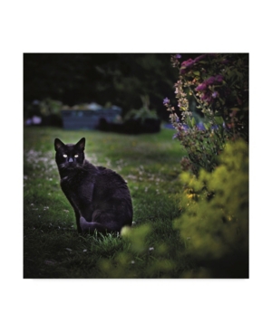 Christine Sainte-Laudy Black Cat in the Garden Canvas Art - 15