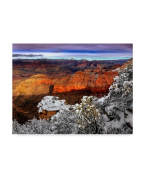 Trademark Global David Drost Snowy Grand Canyon Iv Canvas Art In Multi