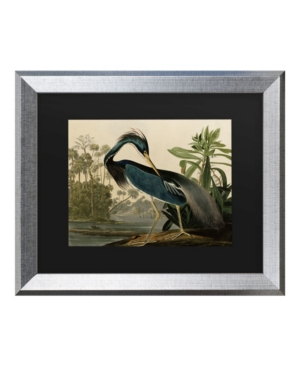 Trademark Global John James Audubon Louisiana Heron Matted Framed Art In Multi