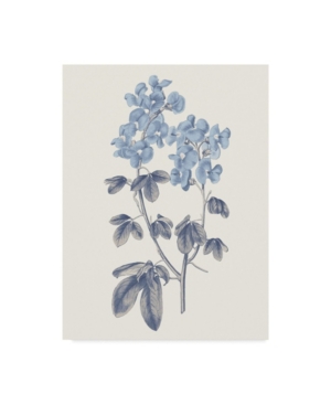 Trademark Global Wild Apple Portfolio Blue Botanical Iii Canvas Art In Multi