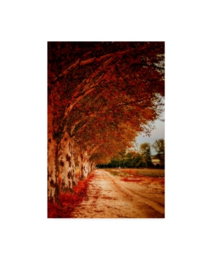 Trademark Global Pixie Pics Autumn Paths Canvas Art In Multi