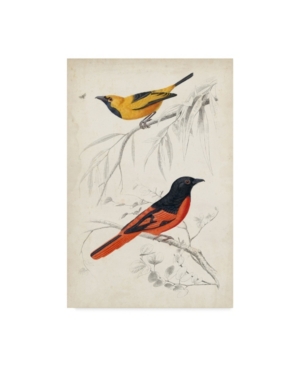 Trademark Global M. Charles D'orbigny D'orbigny Birds Viii Canvas Art In Multi