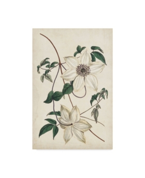 Curtis Ivory Garden Ii Canvas Art - 20