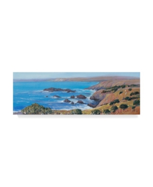 Trademark Global Tim Otoole Panoramic Ocean View I Canvas Art In Multi