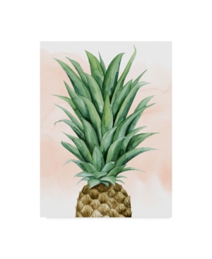 Trademark Global Grace Popp Pineapple On Coral Ii Canvas Art In Multi