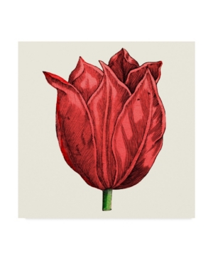 Vision Studio Tulip Garden Ii Canvas Art - 15