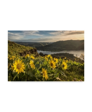 Danny Head Soaking Up the Sun Canvas Art - 20