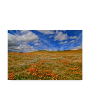 Trademark Global American School Poppies With Clouds Canvas Art In Multi
