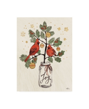 Trademark Global Janelle Penner Christmas Lovebirds Xiv Canvas Art In Multi