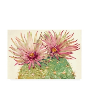 Trademark Global Tim Otoole Cactus Blossoms I Canvas Art In Multi