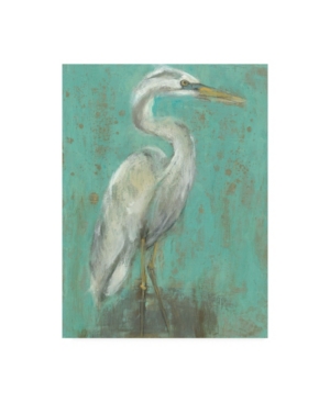 Trademark Global Jennifer Goldberger Sea Spray Heron I Canvas Art In Multi