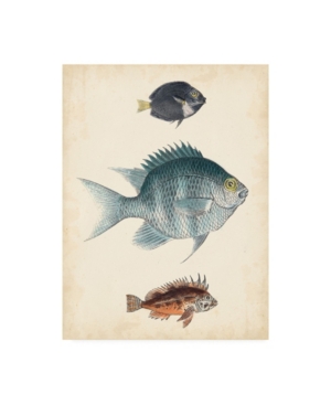 Trademark Global Unknown Antique Fish Species Iii Canvas Art In Multi