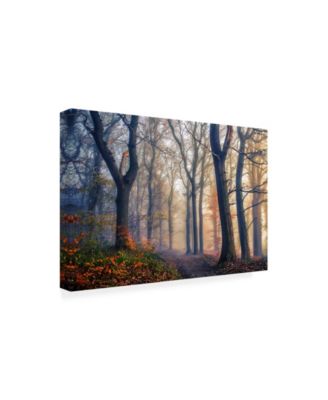 Trademark Global Leif Londal The Forest Path Canvas Art - 37" x 49"